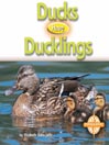 Ducks Have Ducklings